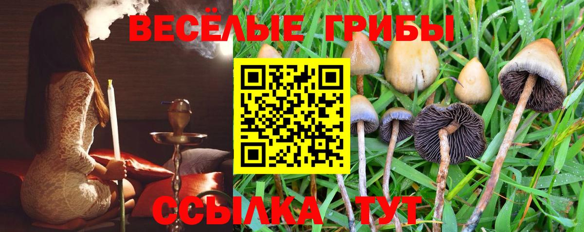 цена наркотик  Вход с VPN  Воркута  Галлюциногенные грибы Magic Shrooms 